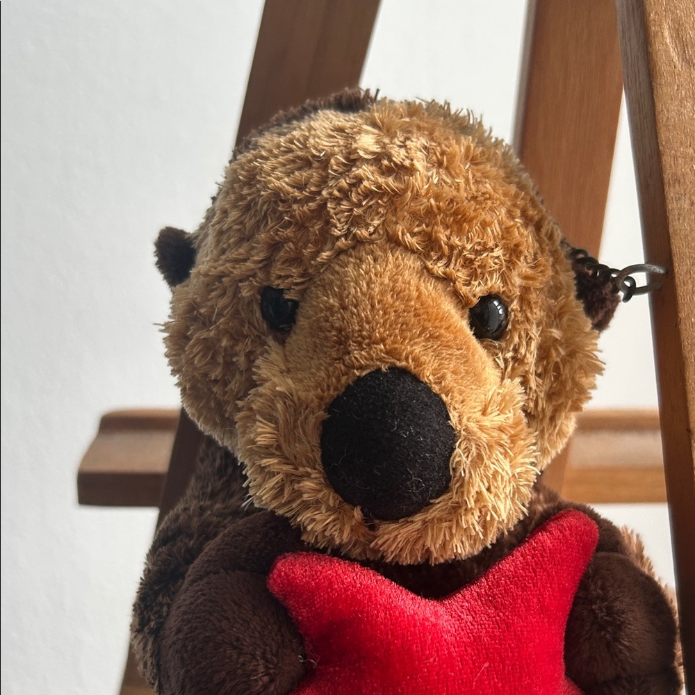 Aurora Sea otter holding red star plushie stuffed animal